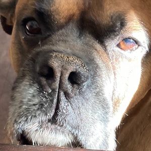 Meet your Posher, Cole